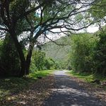 Jesús Cespedes - @elkinosorio03 - Instagram