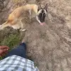 jesus__deniz - @jesus__deniz - TikTok