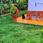 Jesus Deniz Melian - @jesusdenizmelian - Instagram