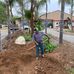 Jesus Escoto Gardening services. - Facebook