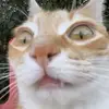 Jesus Facio - @jesus.facio - TikTok