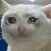 Jesus Gamino - @sure.try.me - TikTok