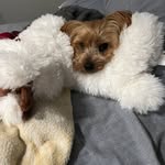 Jesus Gamińo - @jesus.gamino.121 - Instagram