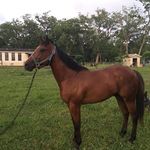 Jesus Gardea - @jesus.gardea - Instagram