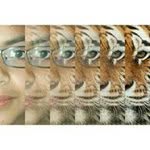 Jesus Gonsalez - @jesus.gonsalez.7758235 - Instagram