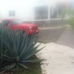 Jesus higareda lopez - @jesushigaredalopez - Instagram