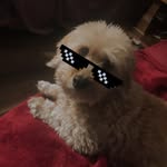 Hood jesus - @hoodjesus66 - Instagram