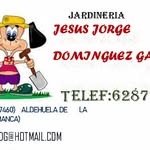 jesus jorge dominguez garcia - @jesusjorgedg - Instagram