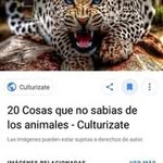 Jesús Llorente Ucles - @jesusllorenteucles - Instagram
