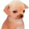 Jesus Loredo - @jesus.loredo91 - TikTok