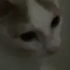 Jesus Macias - @jesus.macias171 - TikTok