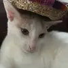 Jesus Macias - @jesus.macias253 - TikTok