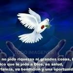 jesus malave - @jesusm400 - Instagram