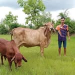 Jesus Mancillas - @mancillas6985 - Instagram