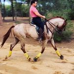 Jesus Mateos - @jmateosluque - Instagram