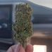 Jesus Modesto - Facebook