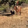 Jesus Muro - @jesus.muro44 - TikTok