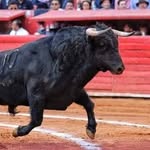 Jesus narez - @narez_jesus - Instagram