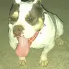 Jesus Norton - @jesus.norton - TikTok