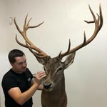 Jesús Pérez - @taxidermiajesusperez - Instagram