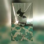 Jesus Posada - @jesus.posada - Instagram
