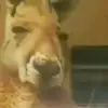 Jesus Prieto - @jesus.prieto843 - TikTok