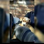 Jesus Tafolla - @tafoyajesus15 - Instagram