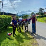 Jesús Ureña - @chuta2030 - Instagram