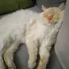 jete.ez.en.lacoste.bae - @jete.ez.en.lacoste.bae - TikTok