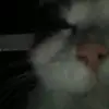 jetrobinson78 - @jetrobinson_ - TikTok