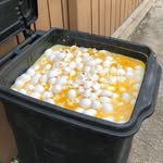 Jet Taylor - @jet.taylor.225 - Instagram