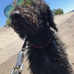 Jet Taylor - @jetetaylor - Instagram