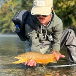 Jet Taylor - @fishwithjet - Instagram