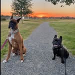 Jet&Taylor - @adventuresofjetandtaylor - Instagram