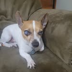 jet Turner - @jetturner73 - Instagram