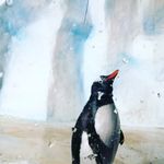 Jethro Chan - @jethro8255 - Instagram
