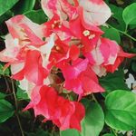 jethro chan - @jethro7413 - Instagram
