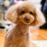 Jethro Chan - @jethrocw - Instagram