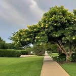 Jethro Chanda - @jethrochanda - Instagram