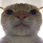 Jett - @jett.green - Instagram
