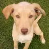 Jett Jackson - @jett.jackson6 - TikTok