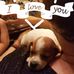 Jett Johnson - Facebook