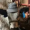Jett Smith - @jett.smith36 - TikTok