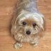 Jetta Bradford Davis - Facebook