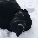 Jetta Leigh - @jetta_leigh_jones - Instagram