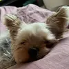 Jette Pedersen - @jette.pedersen2 - TikTok