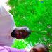 Jiwul Mathias - Facebook