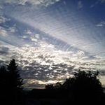 Patrick Jewell - @patrickjewell9975 - Instagram