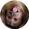 Joelle Rutherford460 - @harleigh_plays - TikTok