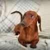 jezramos425 - @jezramos425 - TikTok